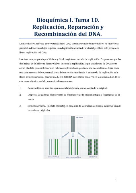 Tema Bioqumica I Apuntes Bioqu Mica I Tema Replicaci N