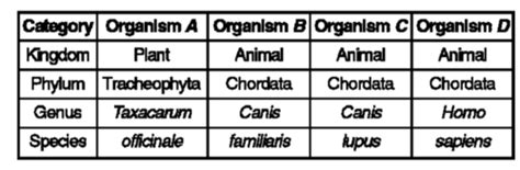 Taxonomy Biology Quizlet