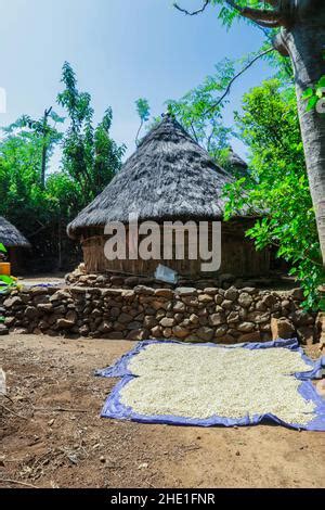 Traditional Konso Tribe House Ethiopia Stock Photo Alamy