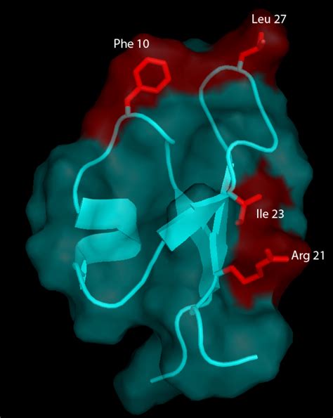 Toxins Free Full Text Pea Albumin 1 Subunit B Pa1b A Promising Bioinsecticide Of Plant Origin