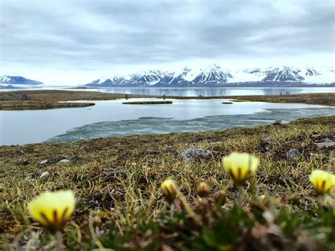 Rediscovering the Arctic - Swoop Antarctica Blog