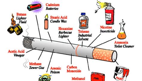 Chetoroes BAHAYA ROKOK BAGI TUBUH