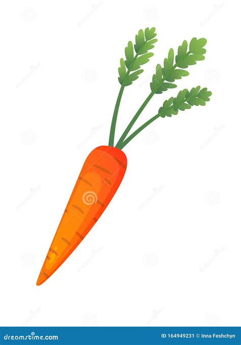 Carrot Fresh Vegetable Vector Concept Healthy Diet Flat Style