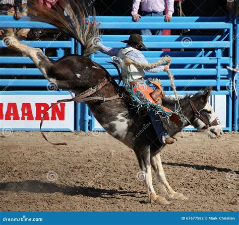 Cowboy Riding Bucking Bronco Editorial Photography - Image: 67677582