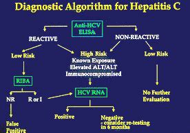 Diagnosis of Hepatitis C Virus (HCV)1 Infection