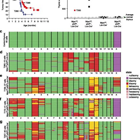 Aneufinder Automated Copy Number Analysis Of Single Cell Sequencing