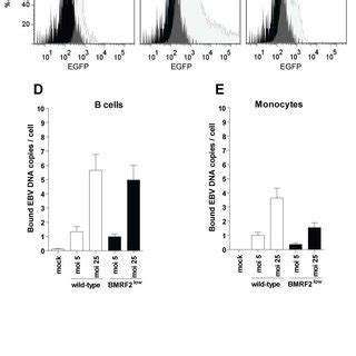 5 1 Integrin Is Expressed Preferentially On Memory B Cells From NALT