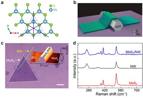 Inducing Strong Lightmatter Coupling And Optical Anisotropy In