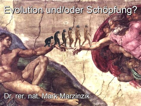 W Rtlich Oder Symbolisch Sch Pfung O Der Evolution