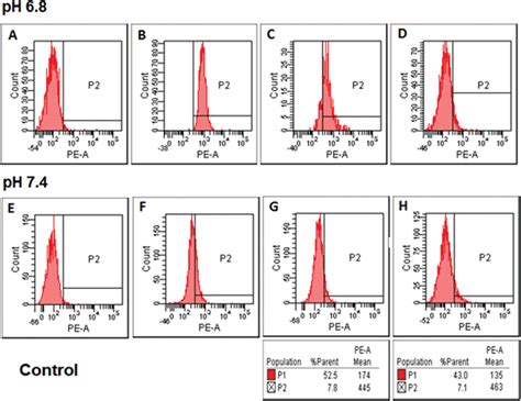 Construction And Biological Evaluation Of Nanoparticle Based Tumor Targeting Drug Delivery