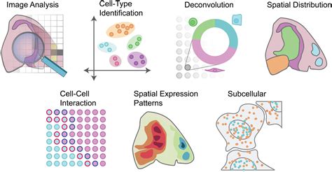 Spatial Transcriptomics