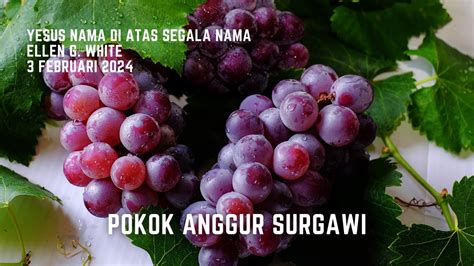 Renungan Pagi Yesus Nama Di Atas Segala Nama 3 Feb 2024 Pokok