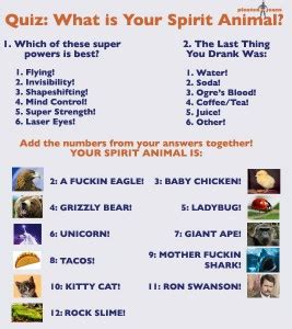 Quiz: What is Your Spirit Animal?