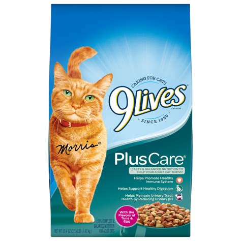 9Lives PlusCare Dry Cat Food