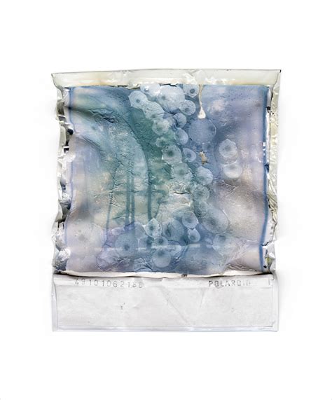 Disappearing Nature / 2022 – Gohar Dashti