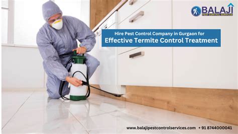 Hire Pest Control Company In Gurgaon For Effective Termite Control