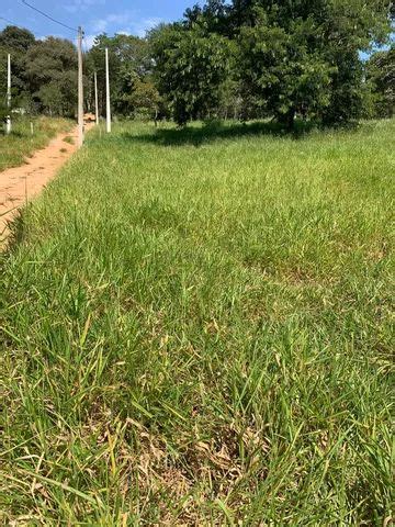 Lote Terreno Para Venda Tem Metros Quadrados Em Parque Edu Chaves