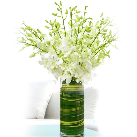 Online 40 Stems White Dendrobium Orchids Vase Gift Delivery In Qatar FNP