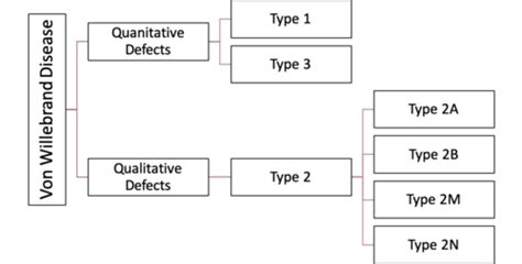 Von Willebrand Disease Physiopedia