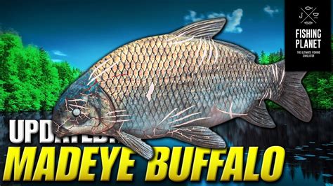 Fishing Planet 2023 How To Catch The Mad Eye Buffalo Monster Fish On