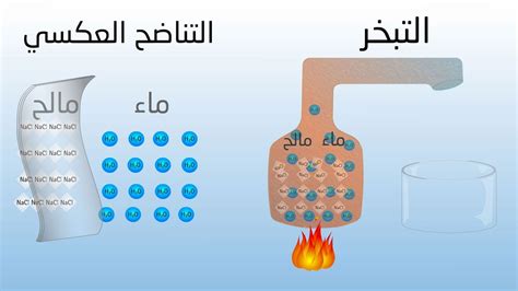 تحلية المياه كيف تحدث والتحديات التي تواجهها