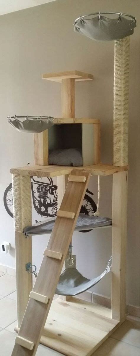 Arbre A Chat En Bois Massif De 6 étages Plus Cat Tree Designs Cat