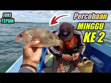 Mancing Sebentar Di Rumpon Baru Ternyata Sudah Ada Penghuninya Joki