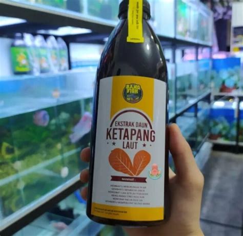 Ekstrak Ketapang Laut Bang Fish Repack Ml Lazada Indonesia