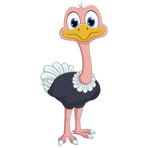 Premium Vector Funny Ostrich Animal Cartoon Smiling