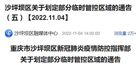 沙坪坝：新增风险区、临时管控区，调整部分公交线路运行 区域 防控 疫情