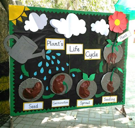 Plant Life Cycle Parts Of A Plant Teaching Ideas Seed Germination