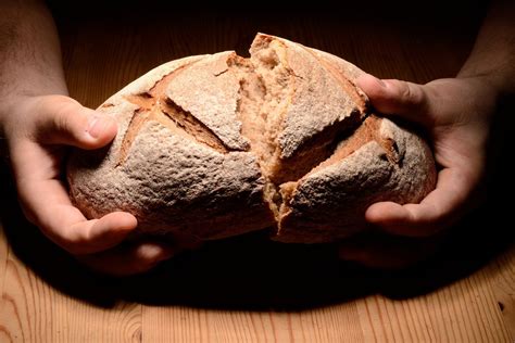 Knapperig Brood Bakken Met Krokante Korst DeMolenwinkel Nl