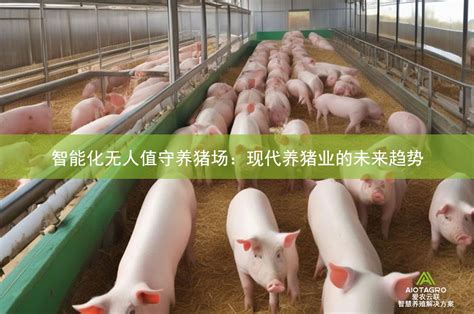 智能化无人值守养猪场：现代养猪业的未来趋势aiotagro 爱农云联 致力于高效、安全的食品生产