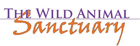 The Wild Animal Sanctuary matching gifts and volunteer grants page