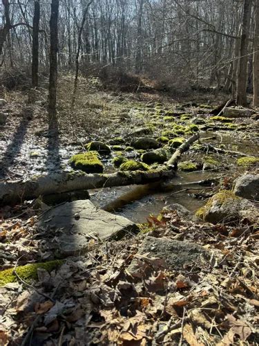 Best Hikes And Trails In New Croton Unit AllTrails