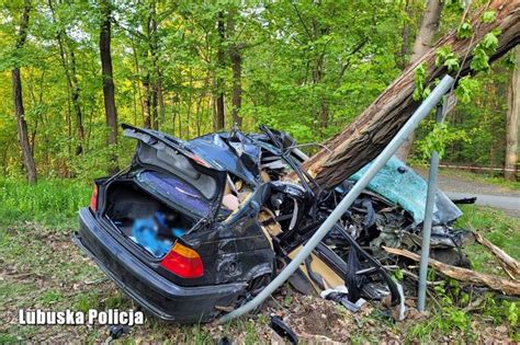 BMW owinęło się wokół drzewa 18 latek cudem uszedł z życiem ZDJĘCIA