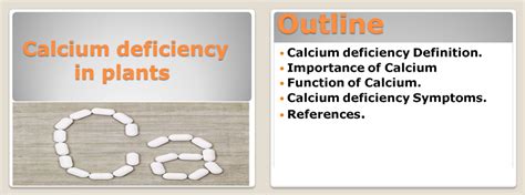 Calcium deficiency in plants PowerPoint – Do a Biology