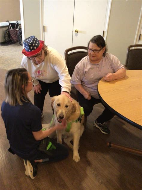 Emotional Therapy Dog Prospect Training — Riverside Canine Training