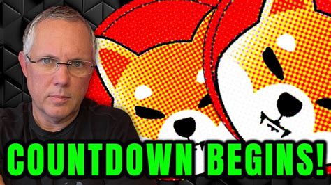 Shiba Inu The Countdown Has Begun Youtube