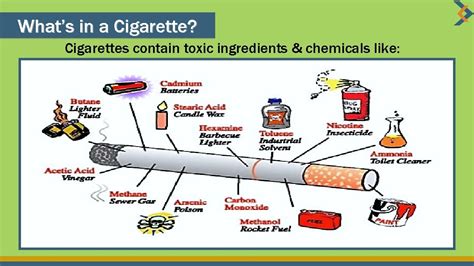 Whats In A Cigarette Cigarettes Contain Toxic Ingredients