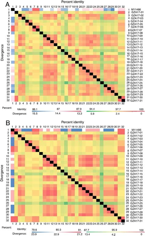 Scielo Brasil Virus Isolation And Genotype Identification Of Human