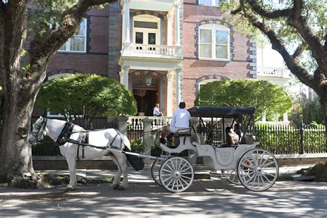 Charleston, SC Private Carriage Tours | Palmetto Carriage Works