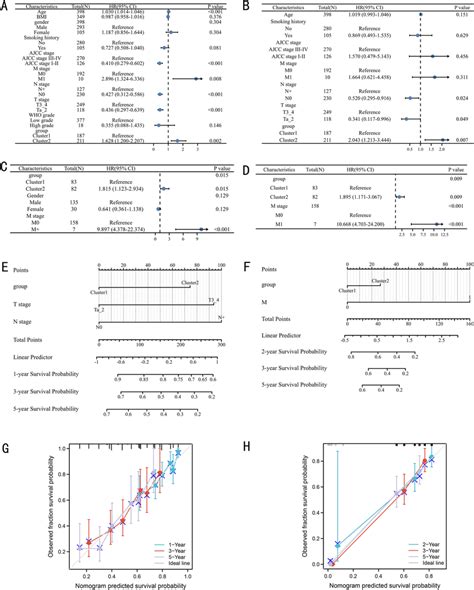 Construction And Validation The Nomogram Univariable A And