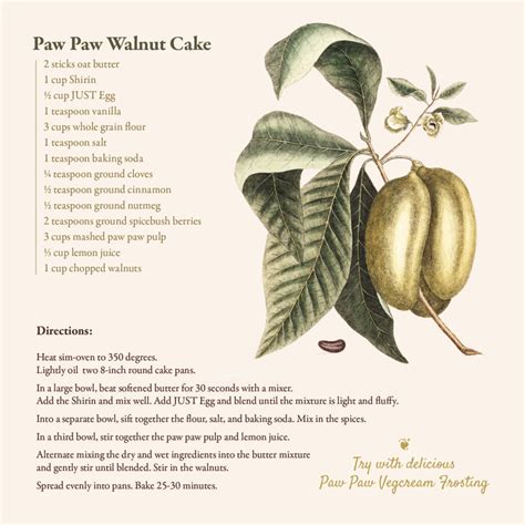 Spotlight Best Recipe From The 2085 New York Paw Paw Festival Pratt