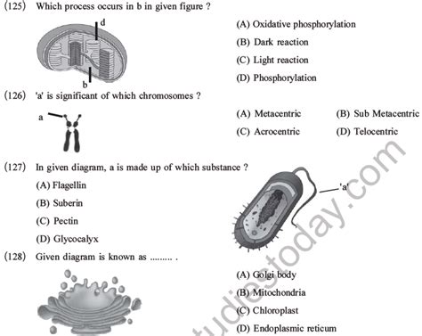 Neet Biology Cell Structure And Function Mcqs Set B Multiple Choice