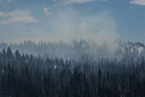 Forest Fire in Yosemite National Park Stock Image - Image of park ...