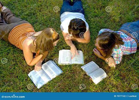 Youth Bible Study Stock Photo Image Of Christian Learning