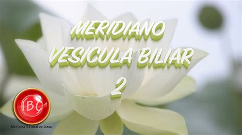 Acupuntura Meridiano Vesicula Biliar Youtube