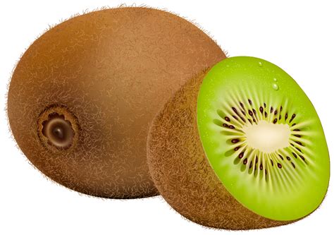 Kiwi clipart painted, Kiwi painted Transparent FREE for download on ...