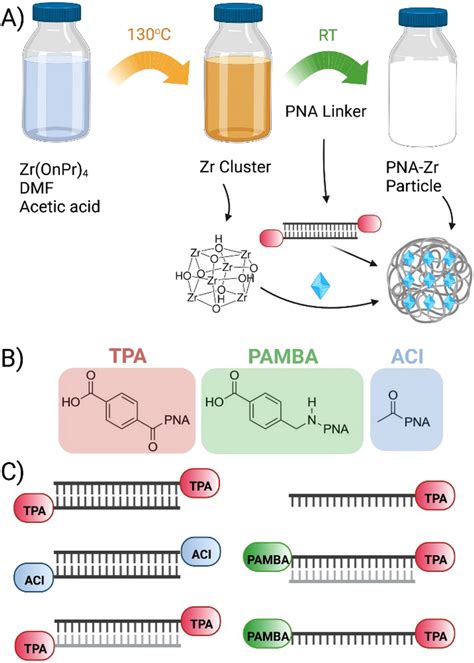 Synthesis process of particles, PNA modifications and linker ...